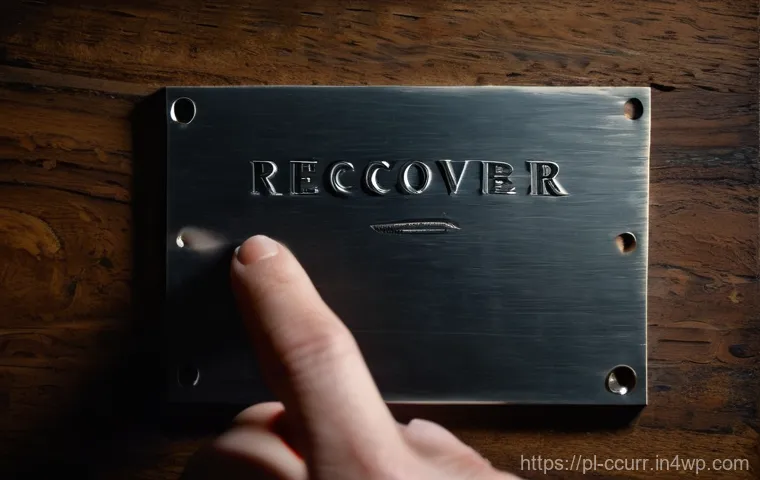 탈중앙화 지갑의 보안 이점 - **Prompt:** A discerning adult, casually dressed in smart-casual attire (e.g., a neat sweater and tr...